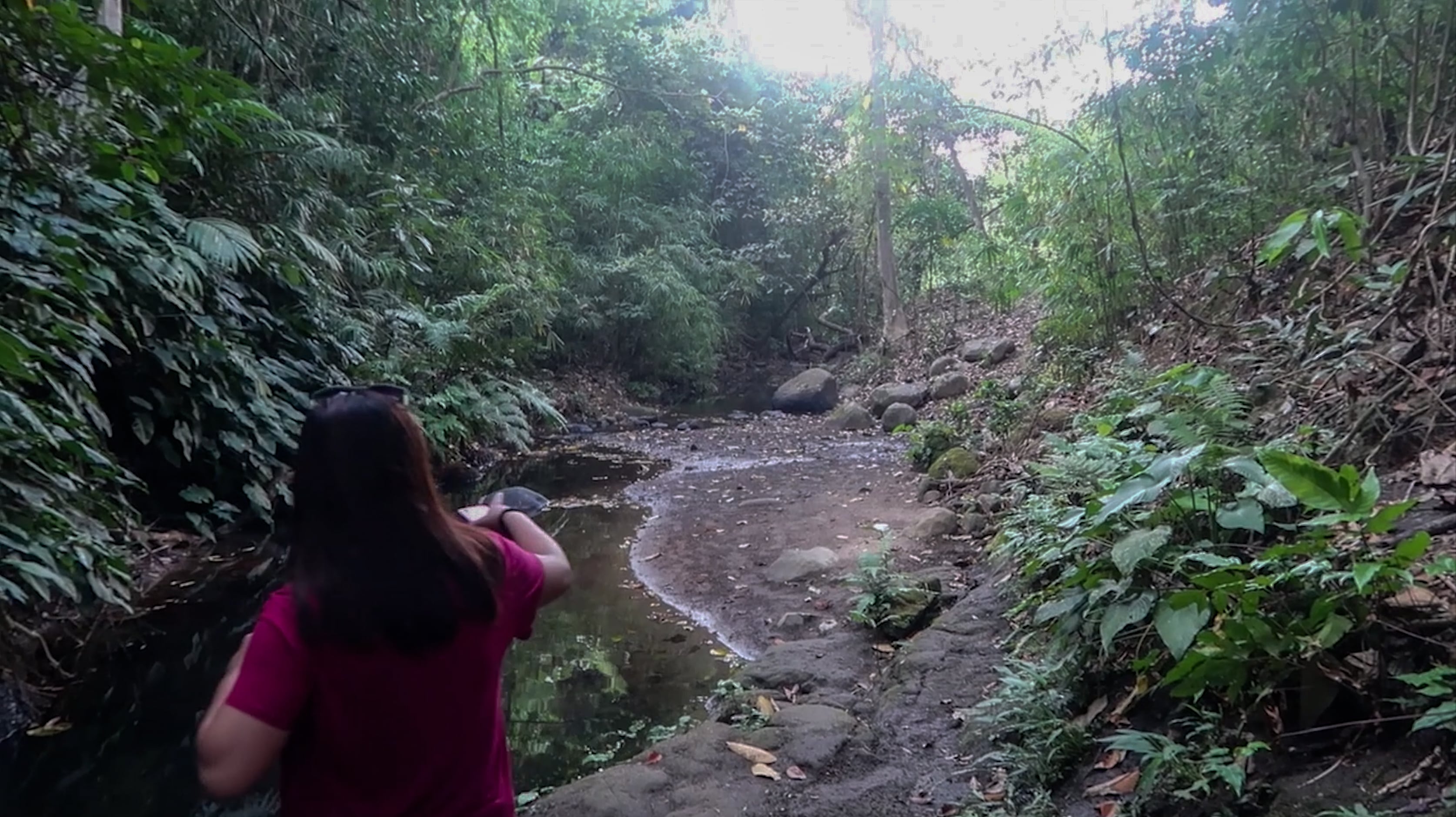 melody somido pointing in direction at picturesque forest in subic zambales philippines